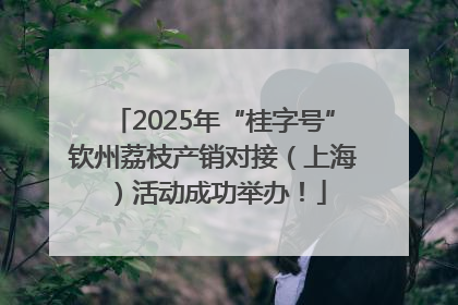 2025年“桂字号”钦州荔枝产销对接（上海）活动成功举办！