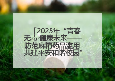 2025年“青春无毒·健康未来——防范麻精药品滥用 共建平安和谐校园”禁毒宣传专题活动在咸宁举行