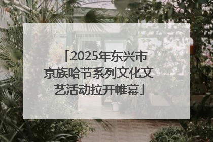 2025年东兴市京族哈节系列文化文艺活动拉开帷幕
