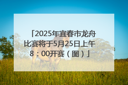 2025年宜春市龙舟比赛将于5月25日上午8：00开赛（图）