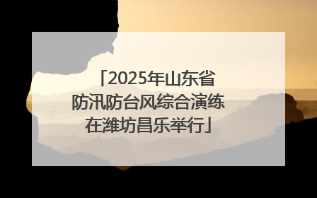 2025年山东省防汛防台风综合演练在潍坊昌乐举行