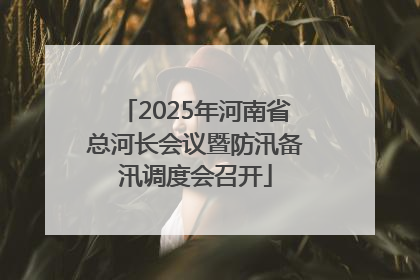 2025年河南省总河长会议暨防汛备汛调度会召开