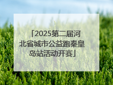 2025第二届河北省城市公益跑秦皇岛站活动开赛