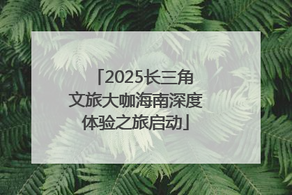 2025长三角文旅大咖海南深度体验之旅启动