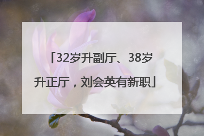 32岁升副厅、38岁升正厅，刘会英有新职