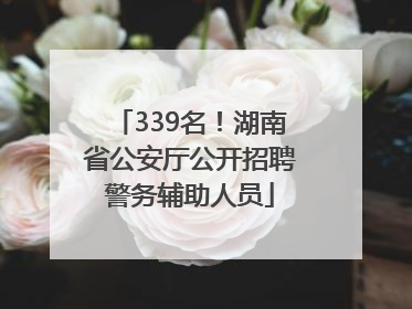 339名！湖南省公安厅公开招聘警务辅助人员