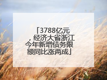 3788亿元，经济大省浙江今年新增债务限额同比涨两成