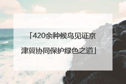 420余种候鸟见证京津冀协同保护绿色之道