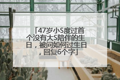 47岁小S度过首个没有大S陪伴的生日，被问如何过生日，回复6个字