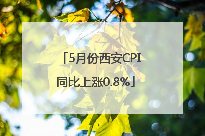 5月份西安CPI同比上涨0.8%