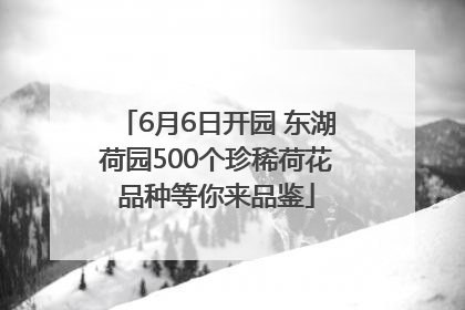 6月6日开园 东湖荷园500个珍稀荷花品种等你来品鉴
