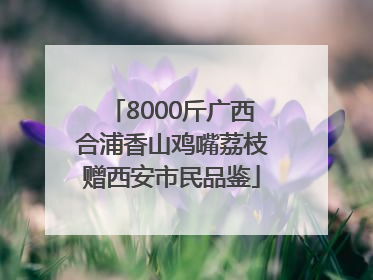 8000斤广西合浦香山鸡嘴荔枝赠西安市民品鉴