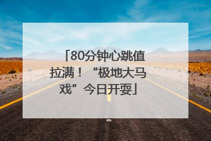 80分钟心跳值拉满！“极地大马戏”今日开耍