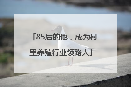 85后的他，成为村里养殖行业领路人