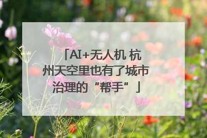 AI+无人机 杭州天空里也有了城市治理的“帮手”