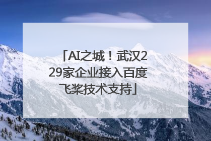 AI之城！武汉229家企业接入百度飞桨技术支持