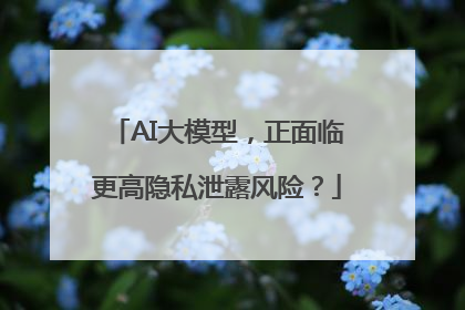 AI大模型，正面临更高隐私泄露风险？