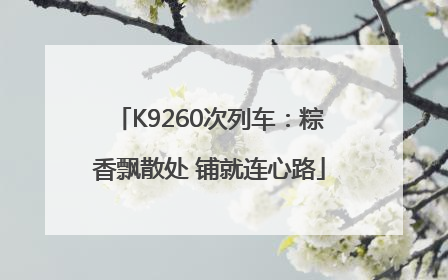 K9260次列车：粽香飘散处 铺就连心路