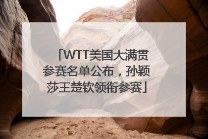 WTT美国大满贯参赛名单公布，孙颖莎王楚钦领衔参赛